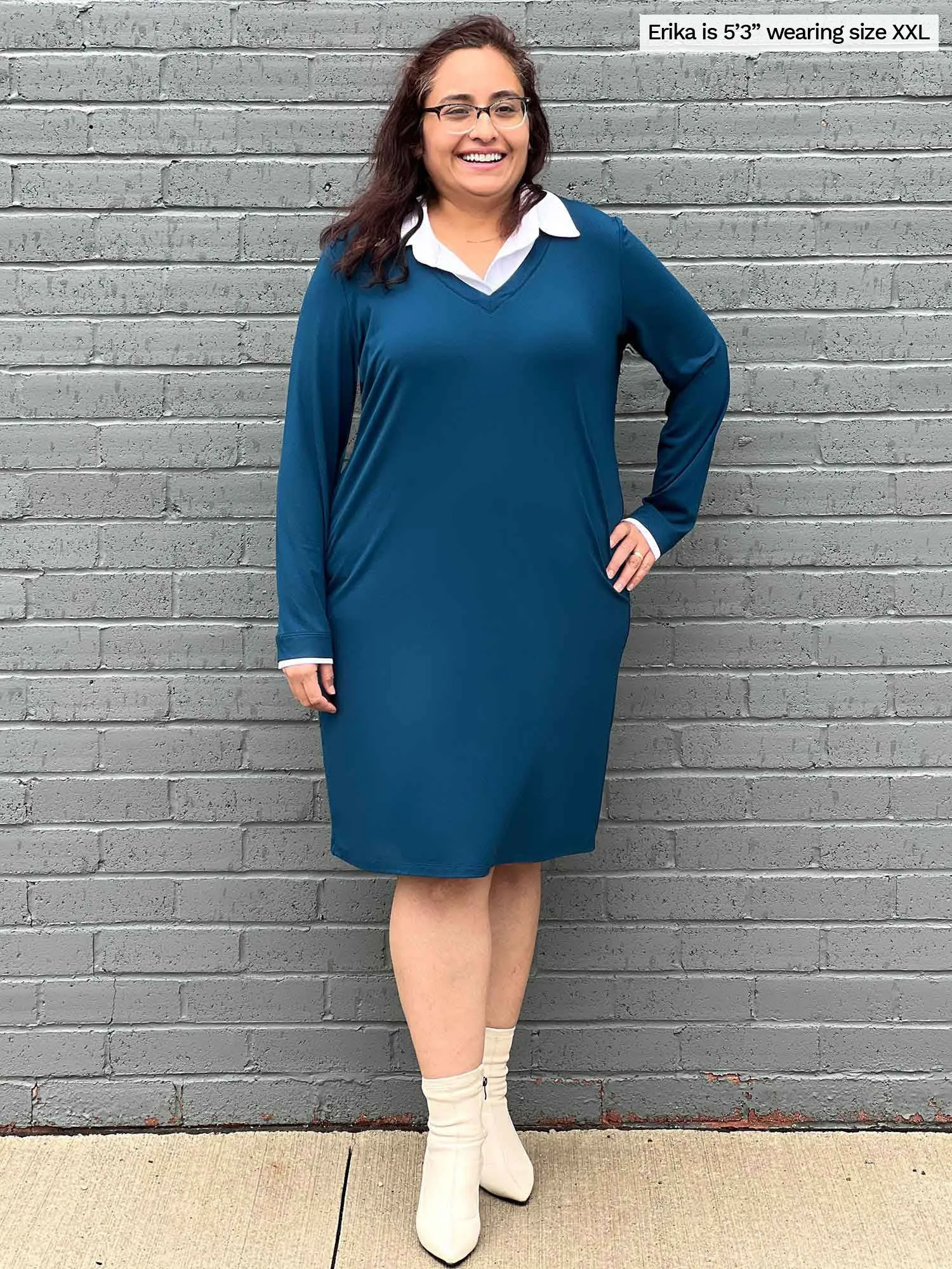 Adelaide collared long sleeve dress - FINAL SALE